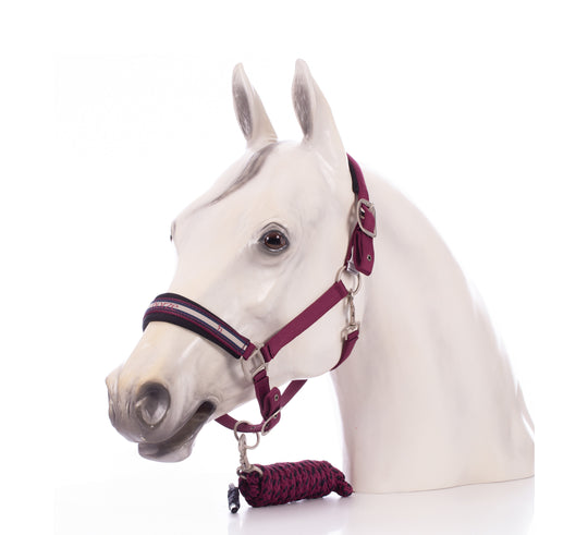 Horze Eternal Gaze Halter and Lead Set image 