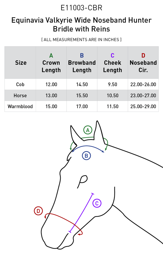 Size chart: English Bridles