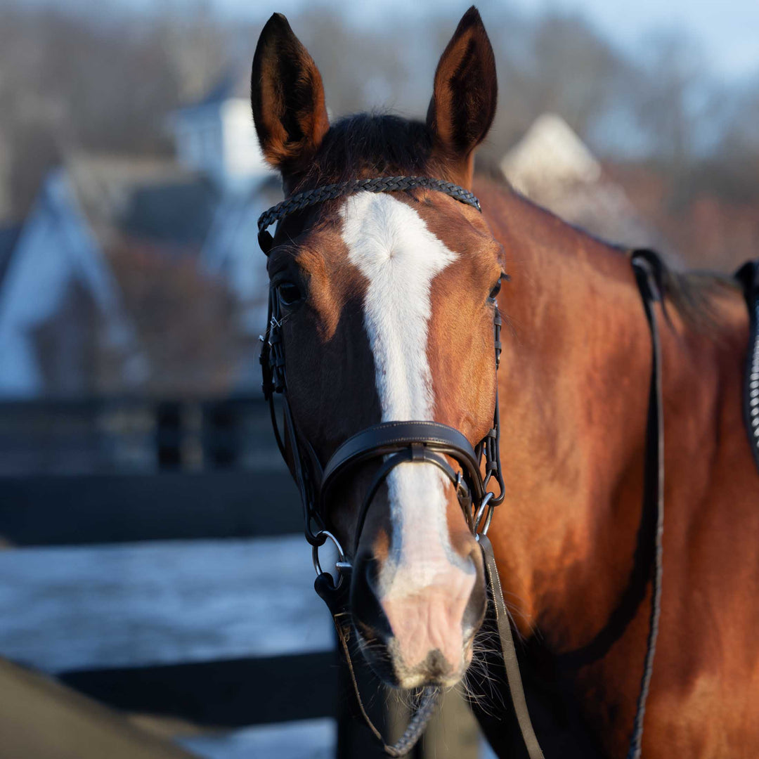 Horze Beaufort Flash Bridle image 