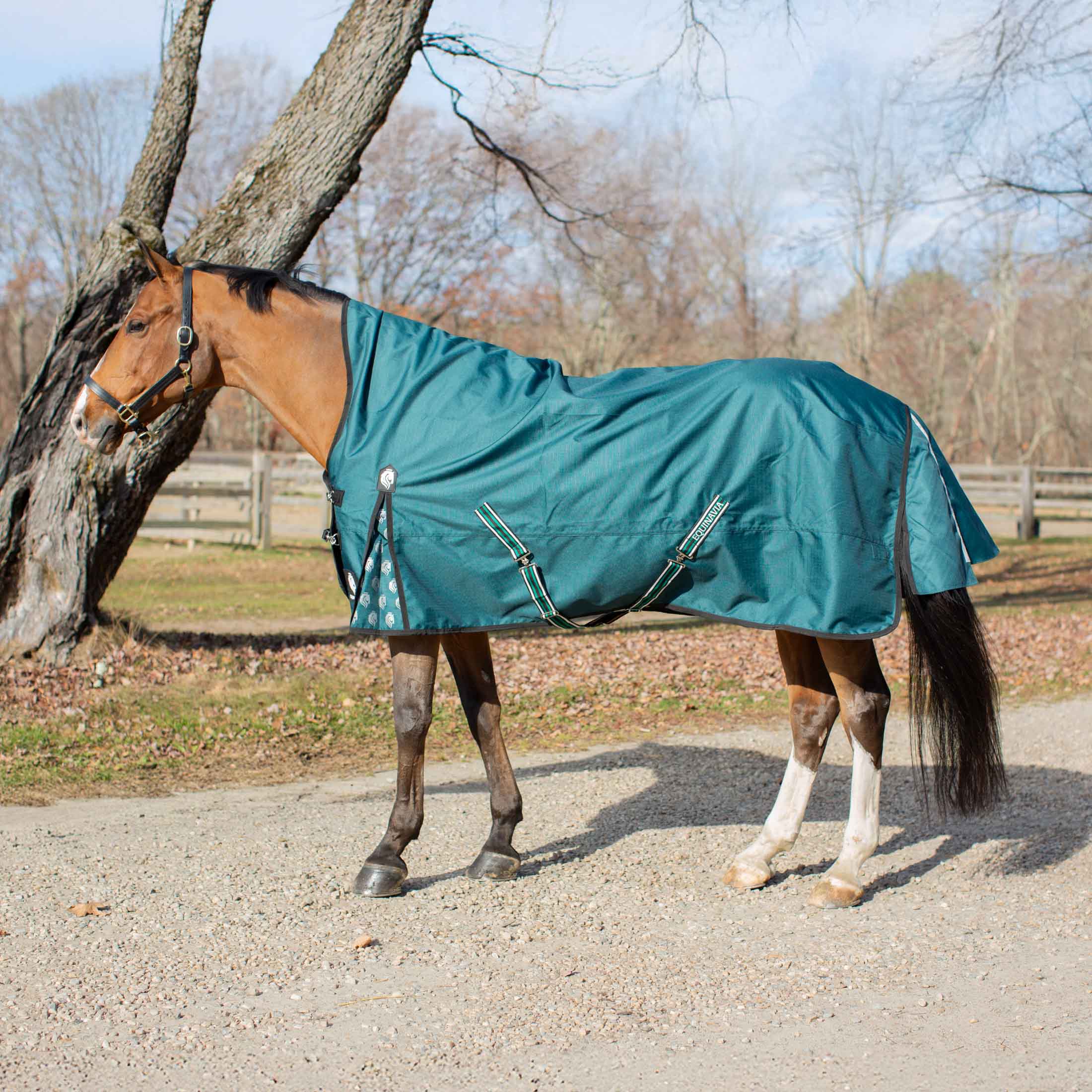 Equinavia Arktis Extended Neck Mid Weight Turnout Blanket 200g image #1