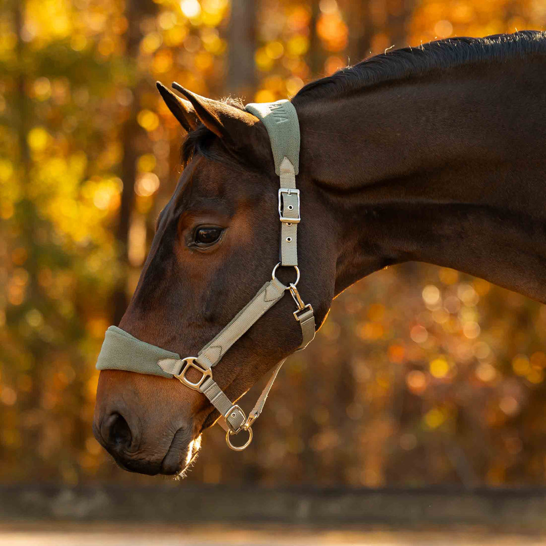 Equinavia Saga Fleece Padded Breakaway Halter image #1