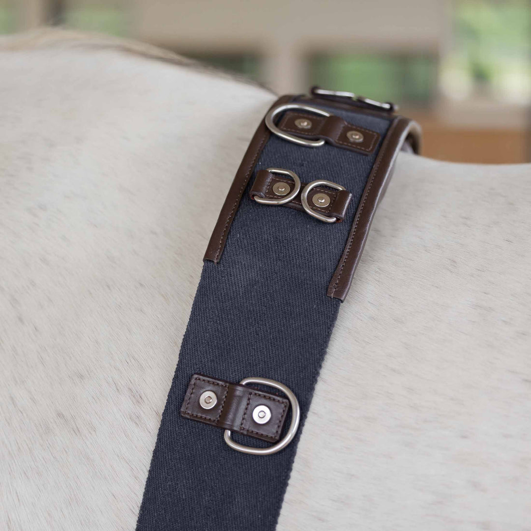 Equinavia Saga Lunge Surcingle image 