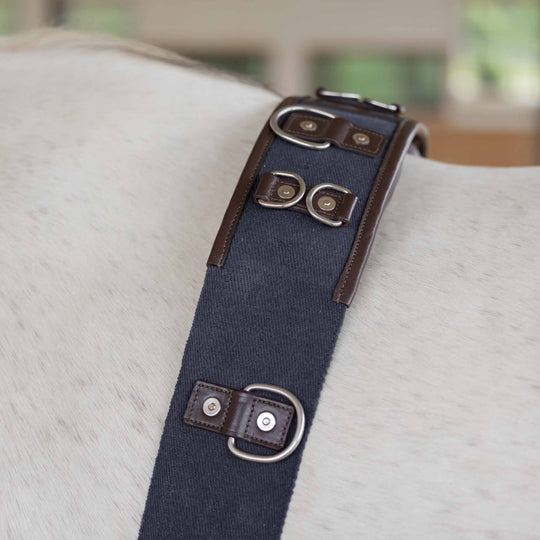 Equinavia Saga Lunge Surcingle image 