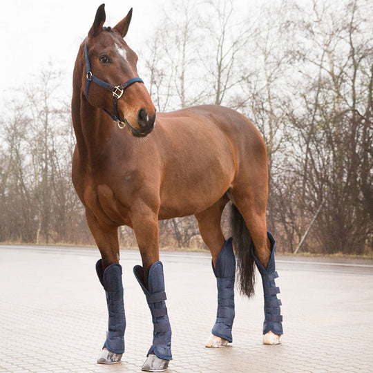 Horze Shipping Boots image 