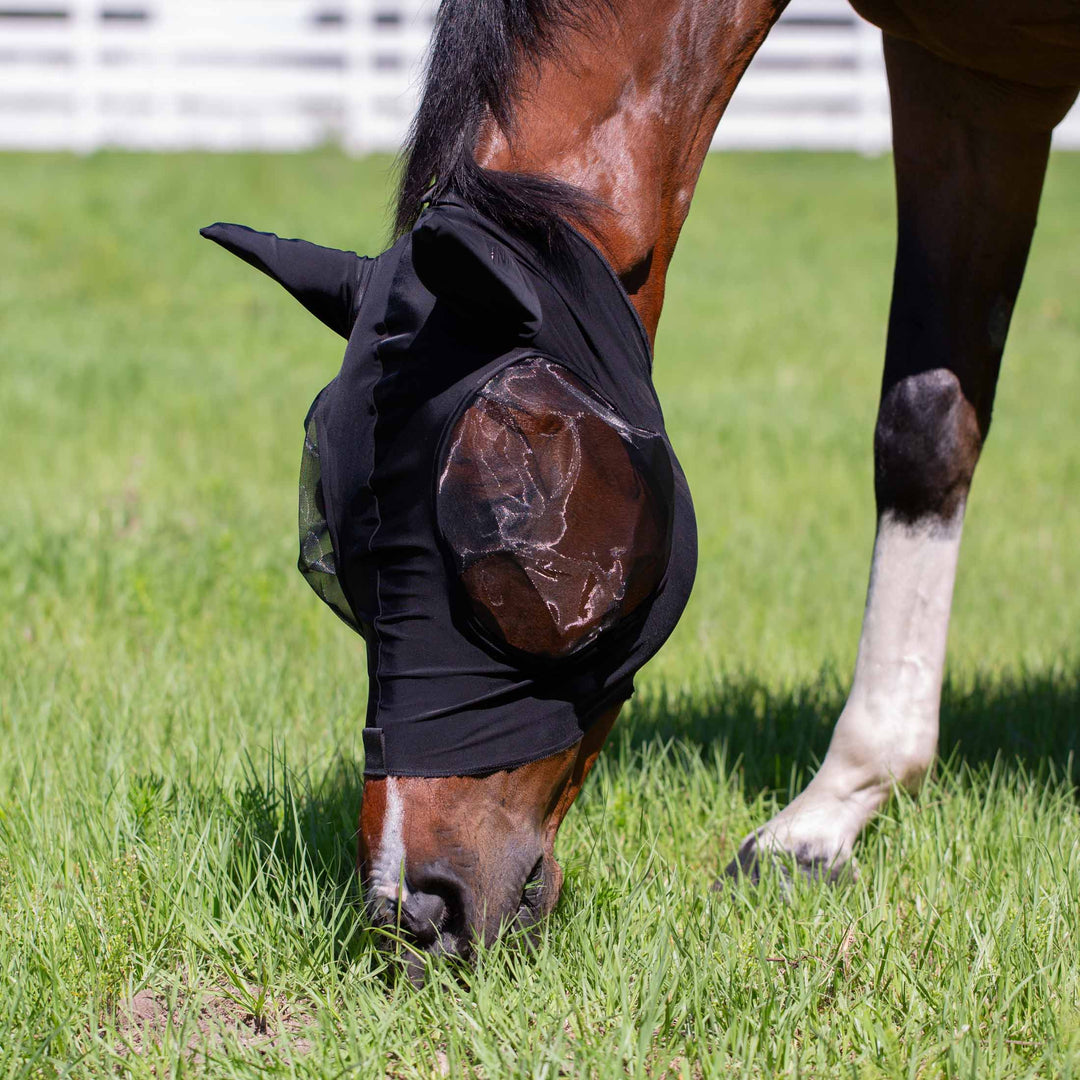 Equinavia Bug Out Fly Mask image #1