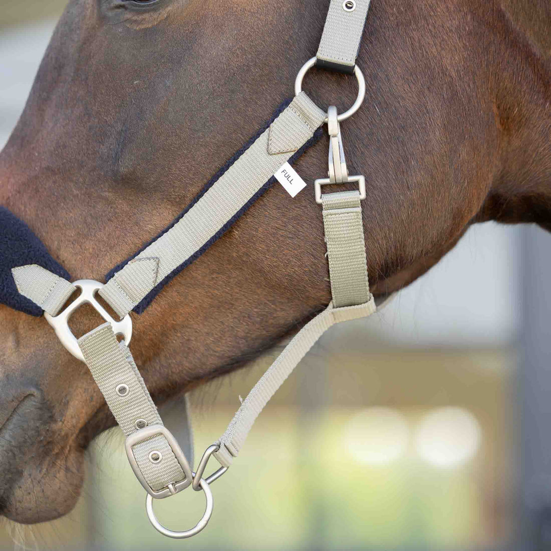 Equinavia Saga Fleece Padded Breakaway Halter image 