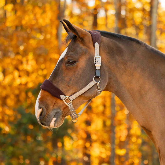 Equinavia Saga Fleece Padded Breakaway Halter image 