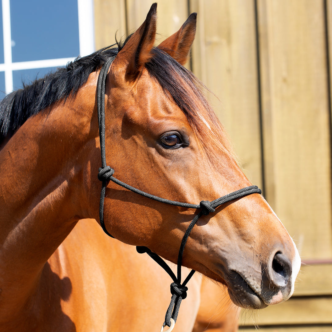 Equinavia Rope Halter image #1