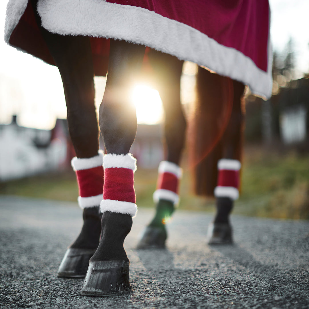 Horze Santa Leg Wraps 4 pcs image 