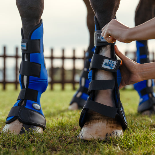 Veredus Magnetik 4-Hour Front Stable Boots image 