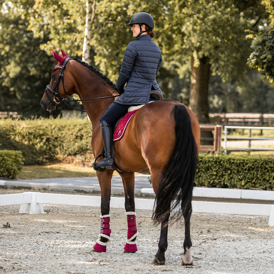 Horze Isabella Womens 3-in-1 Jacket image 
