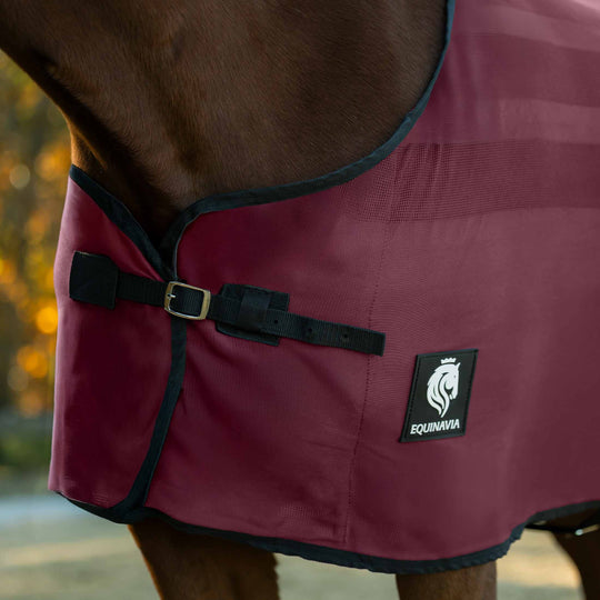 Equinavia Sefyr Scrim Sheet image 