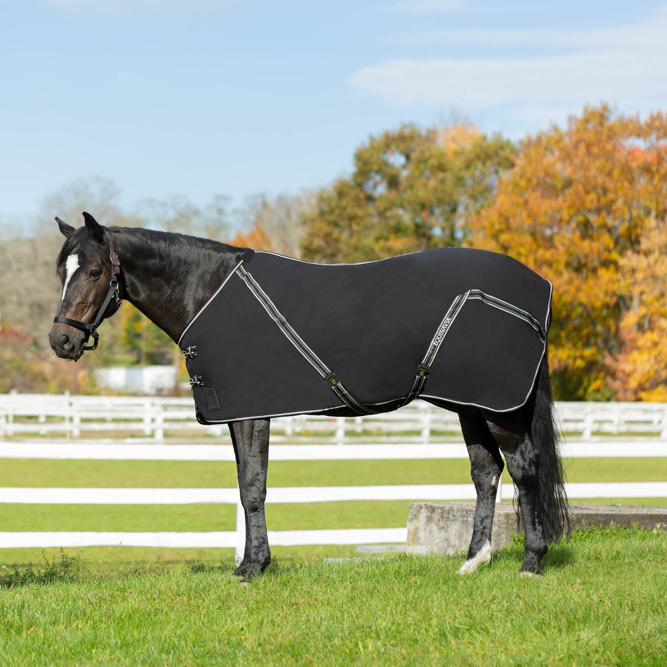 Equinavia Fryd Cotton Stable Sheet image #1