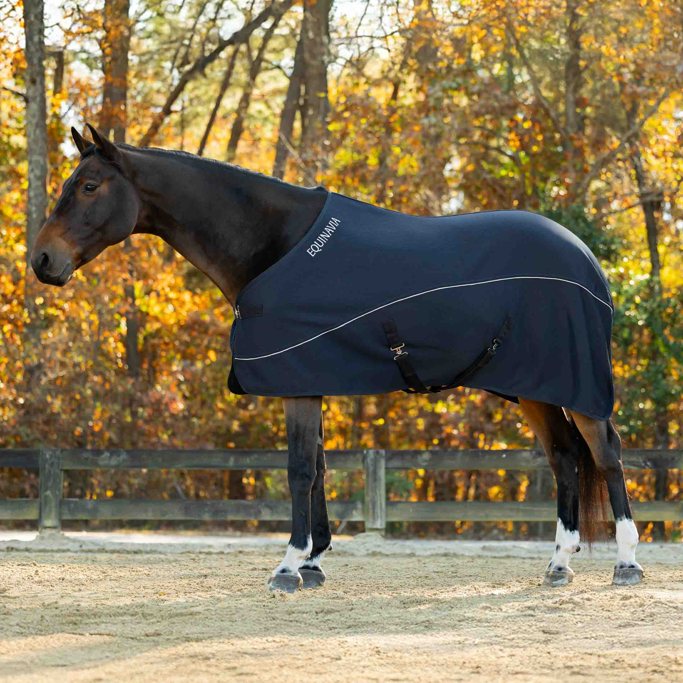 Equinavia Vaffel Tech Cooler image #1