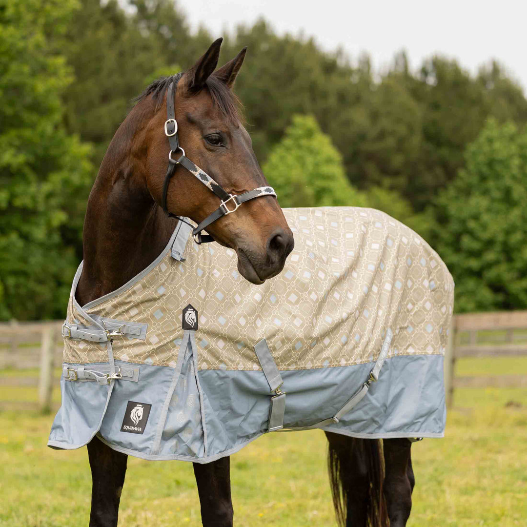 Equinavia Siri Polo Leather Halter image #4