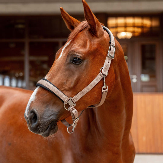 B Vertigo High Altitude Embossed Halter image 