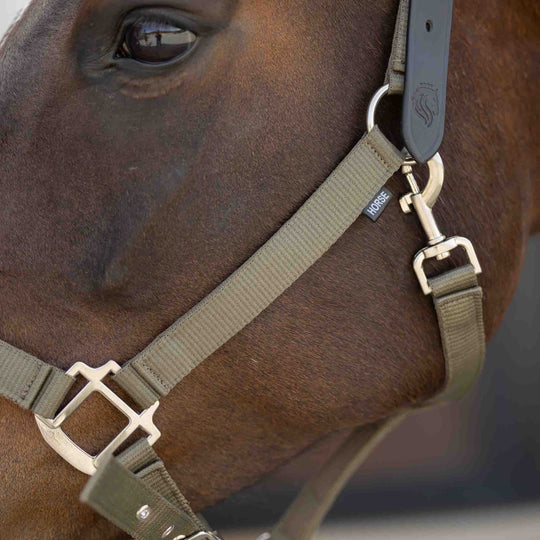 Equinavia Loki Breakaway Halter image 