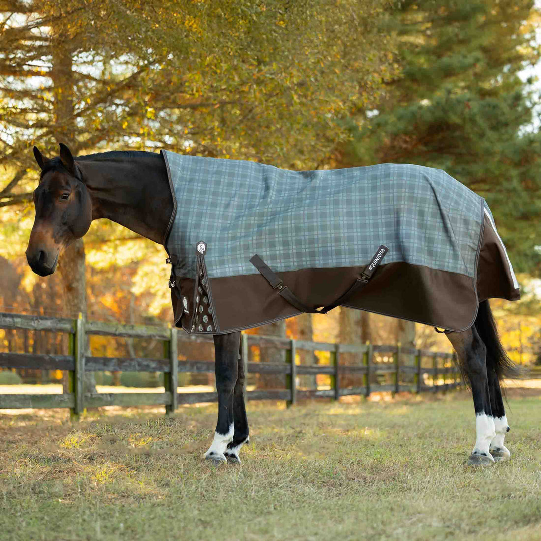Equinavia Arktis Extended Neck Mid Weight Turnout Blanket 200g image 
