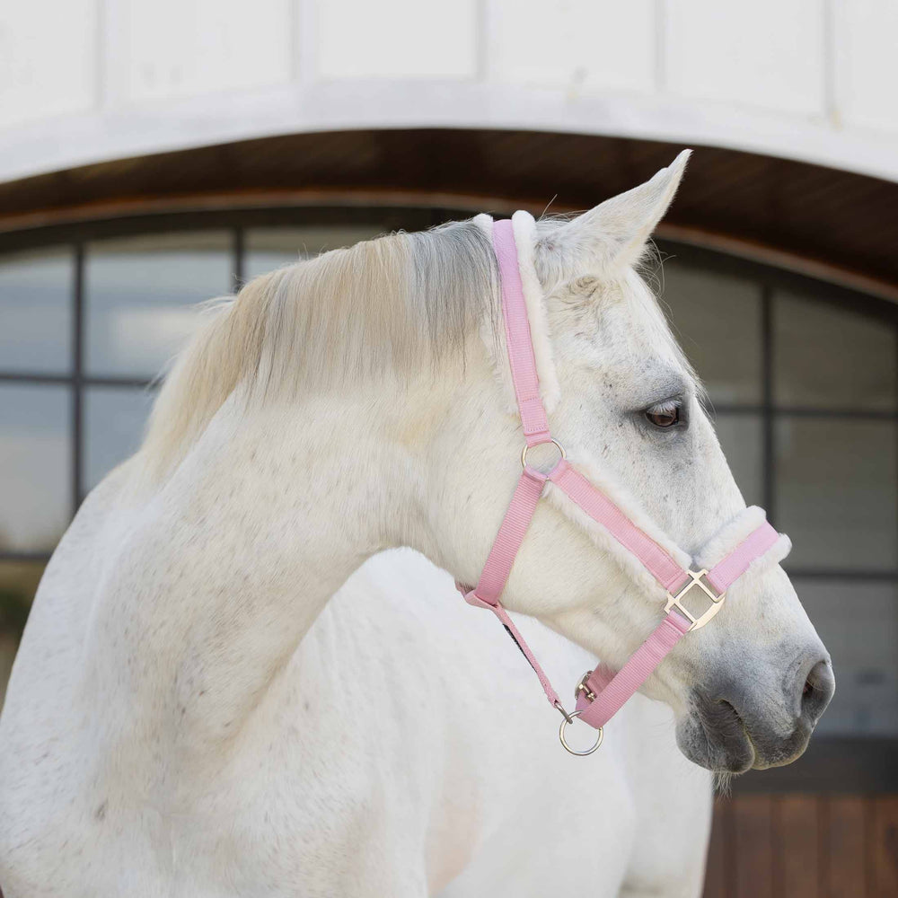Equinavia Valkyrie Ultra Fleece Breakaway Halter image #2