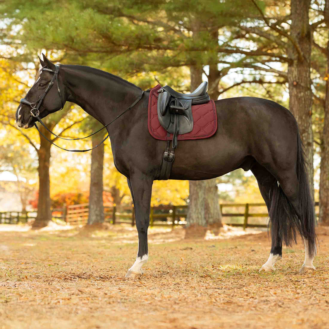 Equinavia Bergen Crystal Dressage Saddle Pad image 