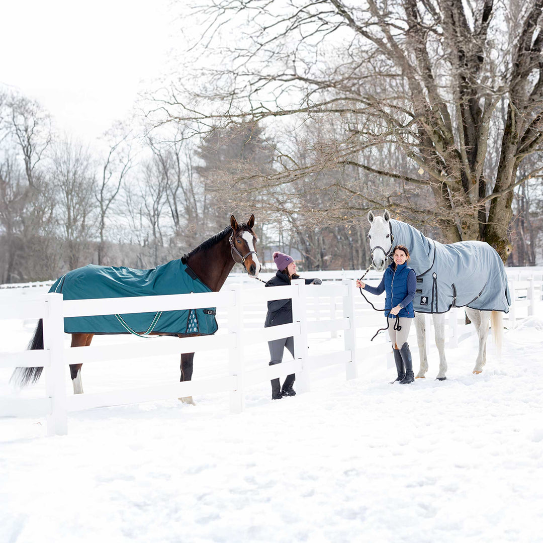 Equinavia Arktis Regular Neck Mid Weight Turnout Blanket 200g image 