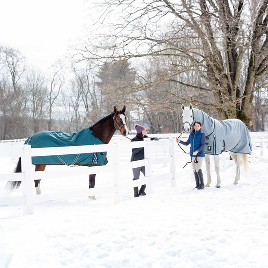 Equinavia Arktis Regular Neck Mid Weight Turnout Blanket 200g image 