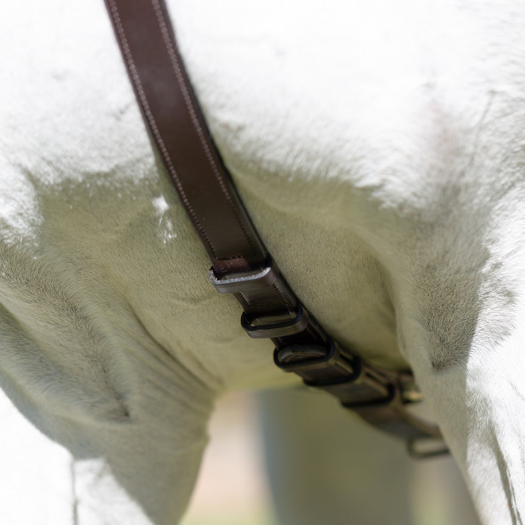 Equinavia Valkyrie Elastic Breastplate image 