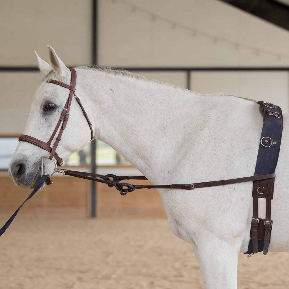Equinavia Saga Lunge Surcingle image #3
