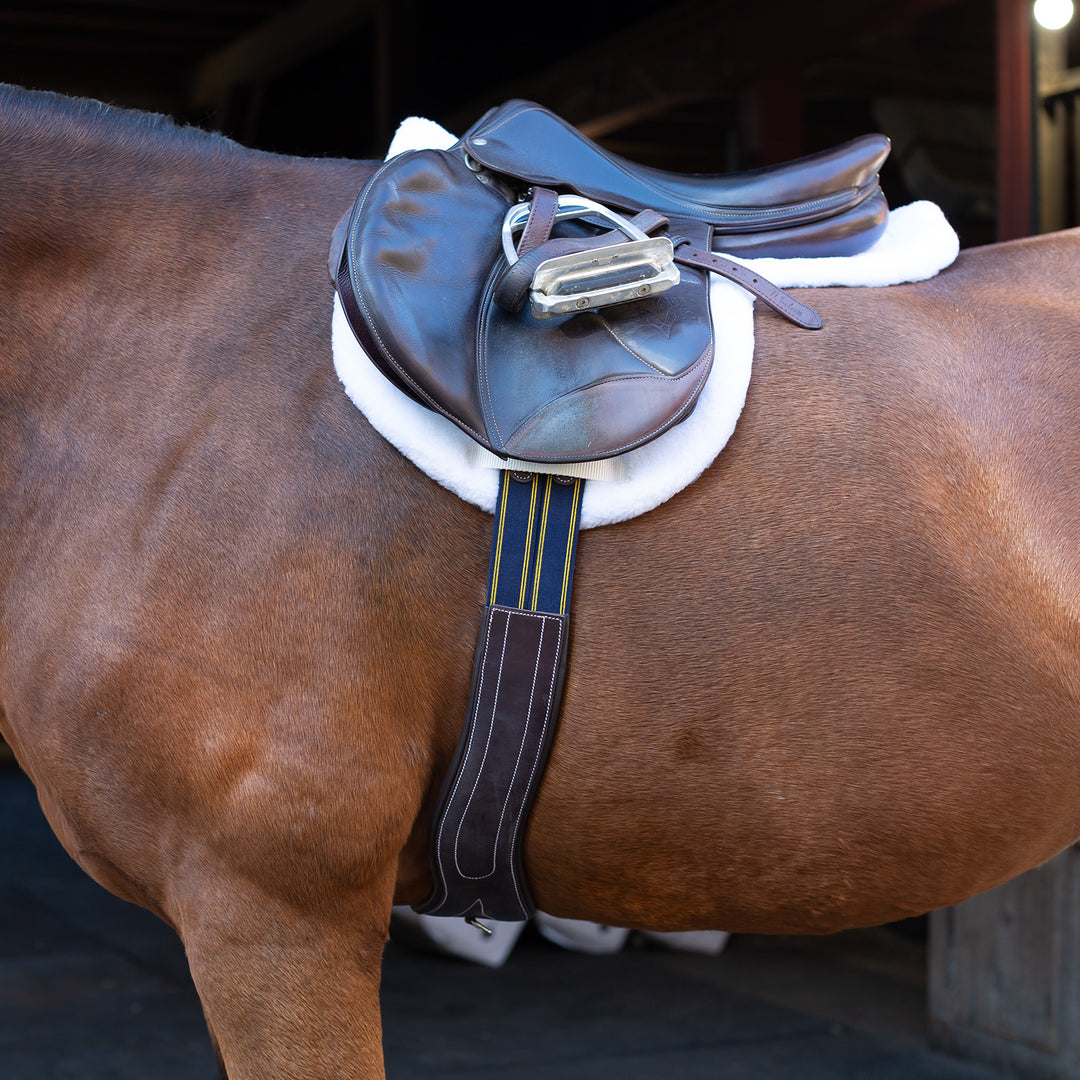 Equinavia Valkyrie Anatomical Long Girth image 