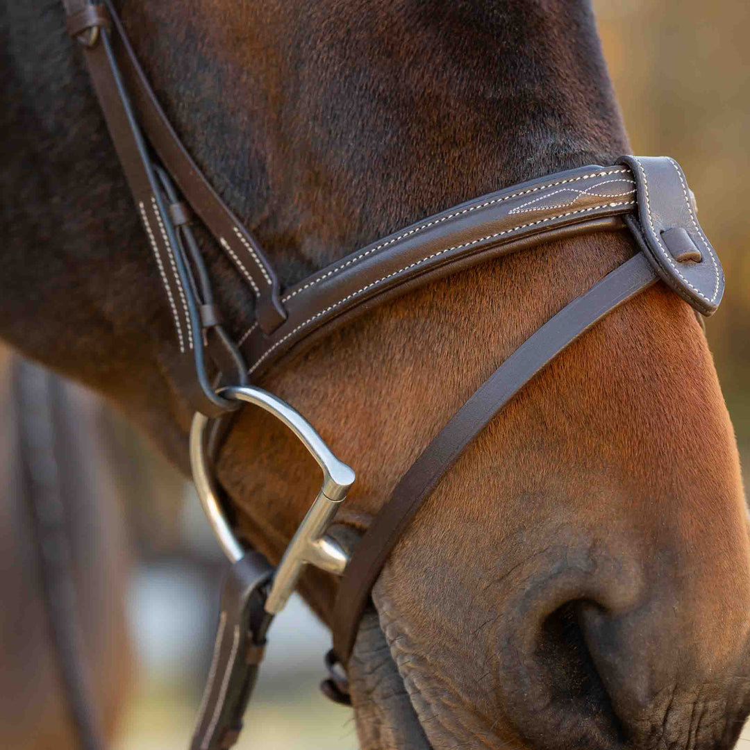 Equinavia Saga Fancy Stitch Detachable Flash Noseband image 
