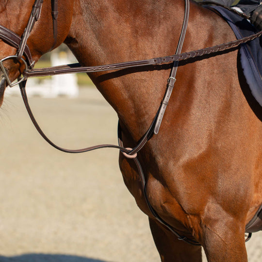Equinavia Valkyrie Fancy Stitched Standing Martingale image 