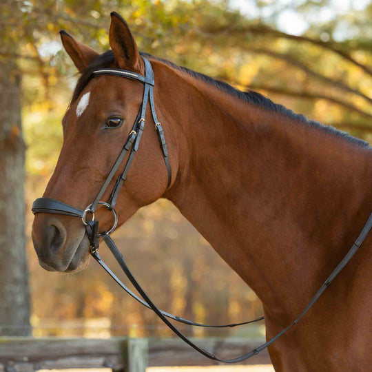 Equinavia Saga Fancy Stitch Detachable Flash Noseband image 