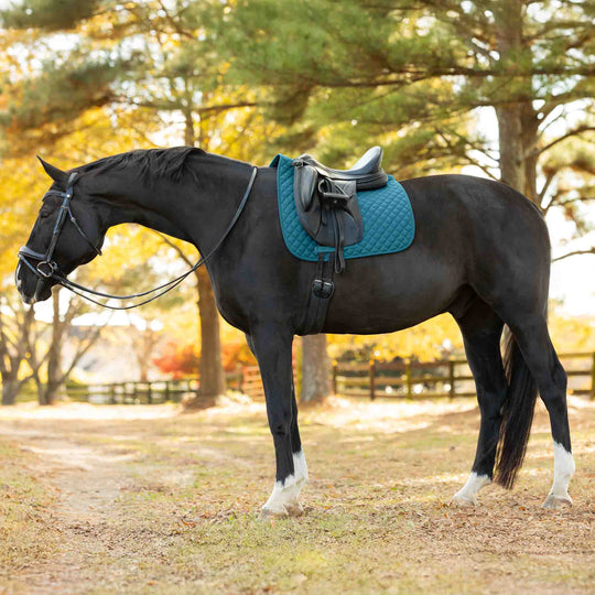 Equinavia Harstad Dressage Saddle Pad image 