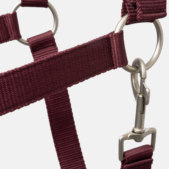 Horze Physical Sophistication Halter and Lead Set image 