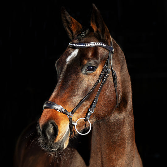 Horze Bergen Leather Remont Bridle image 