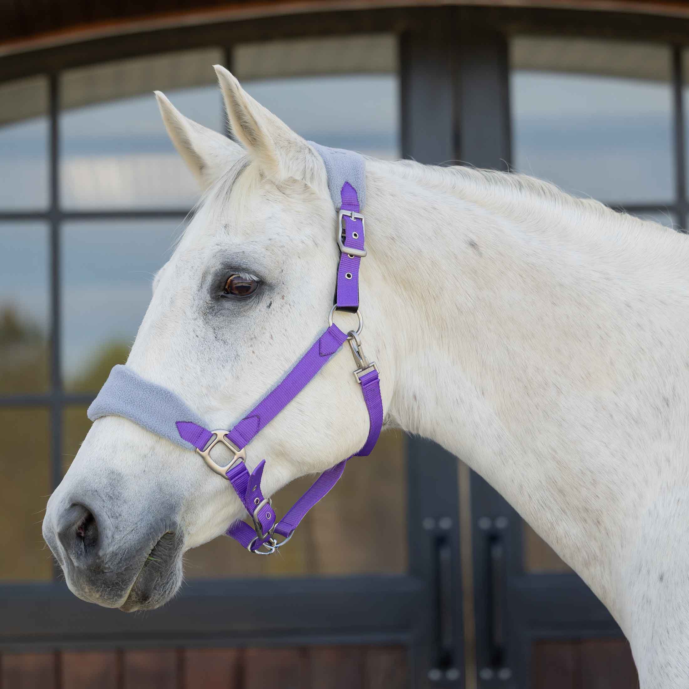 Equinavia Saga Fleece Padded Breakaway Halter image #1