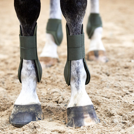 Horze Adepto Tendon Boots image 