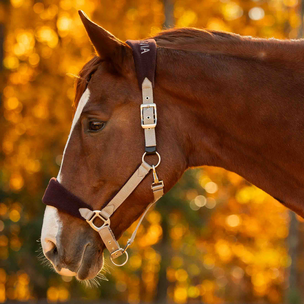 Equinavia Saga Fleece Padded Breakaway Halter image #2