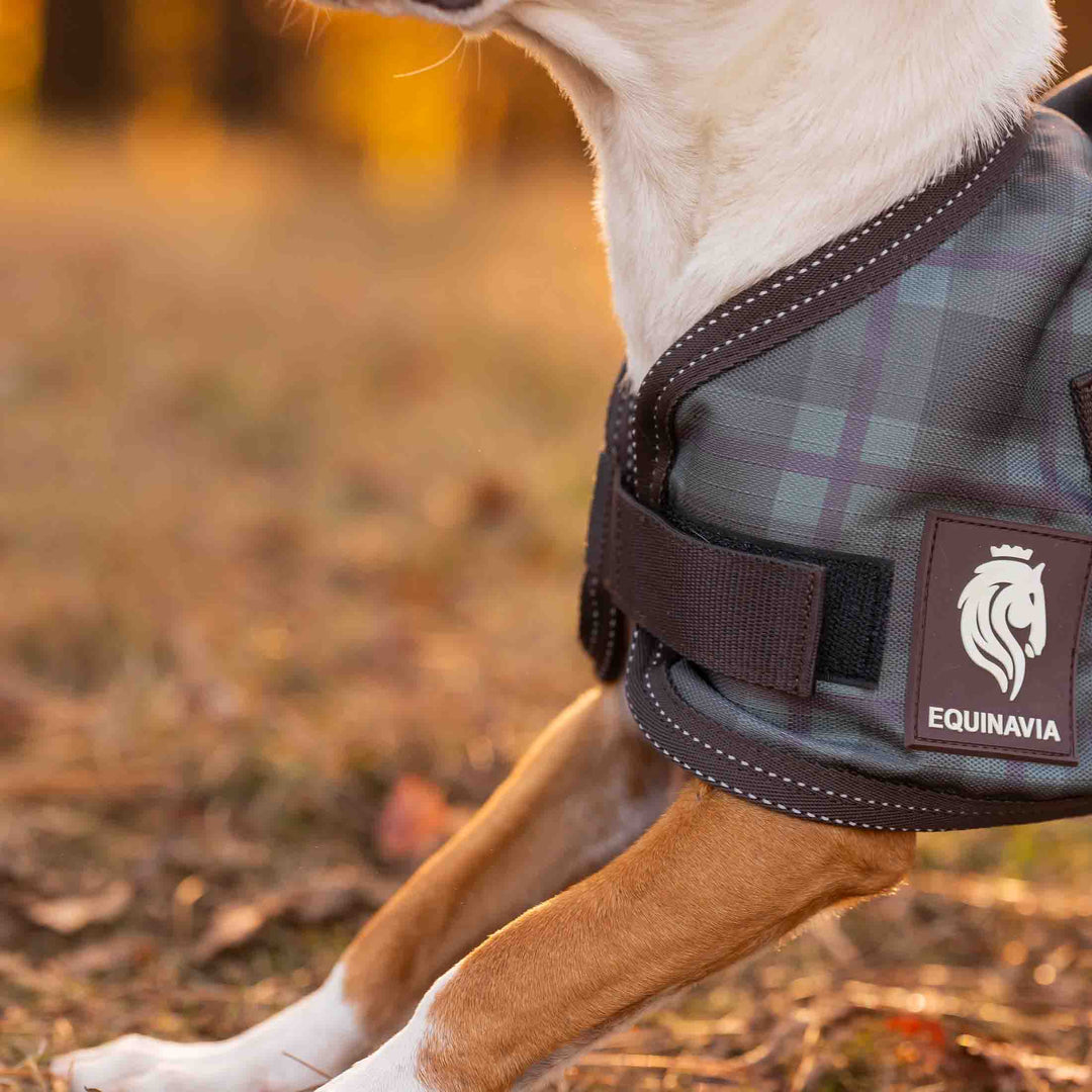 Equinavia Arktis Dog Turnout Blanket 200g image 