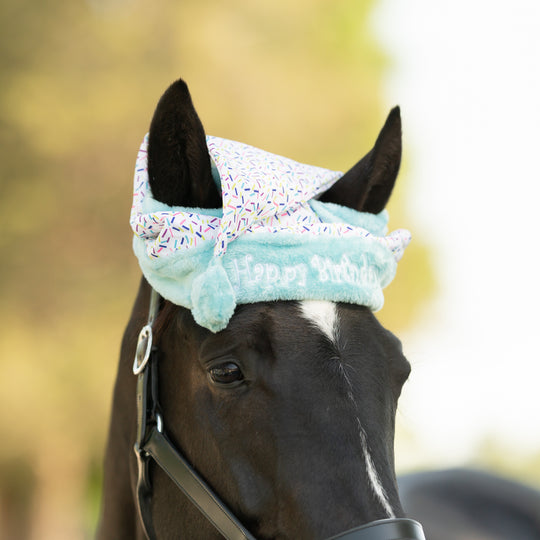 Equinavia Horse Birthday Hat image 
