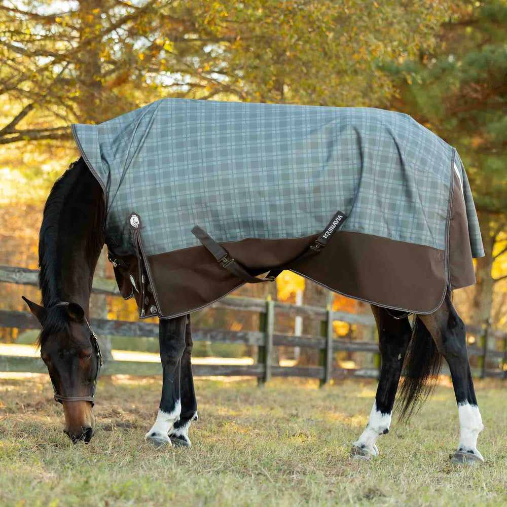 Equinavia Arktis Extended Neck Mid Weight Turnout Blanket 200g image #2