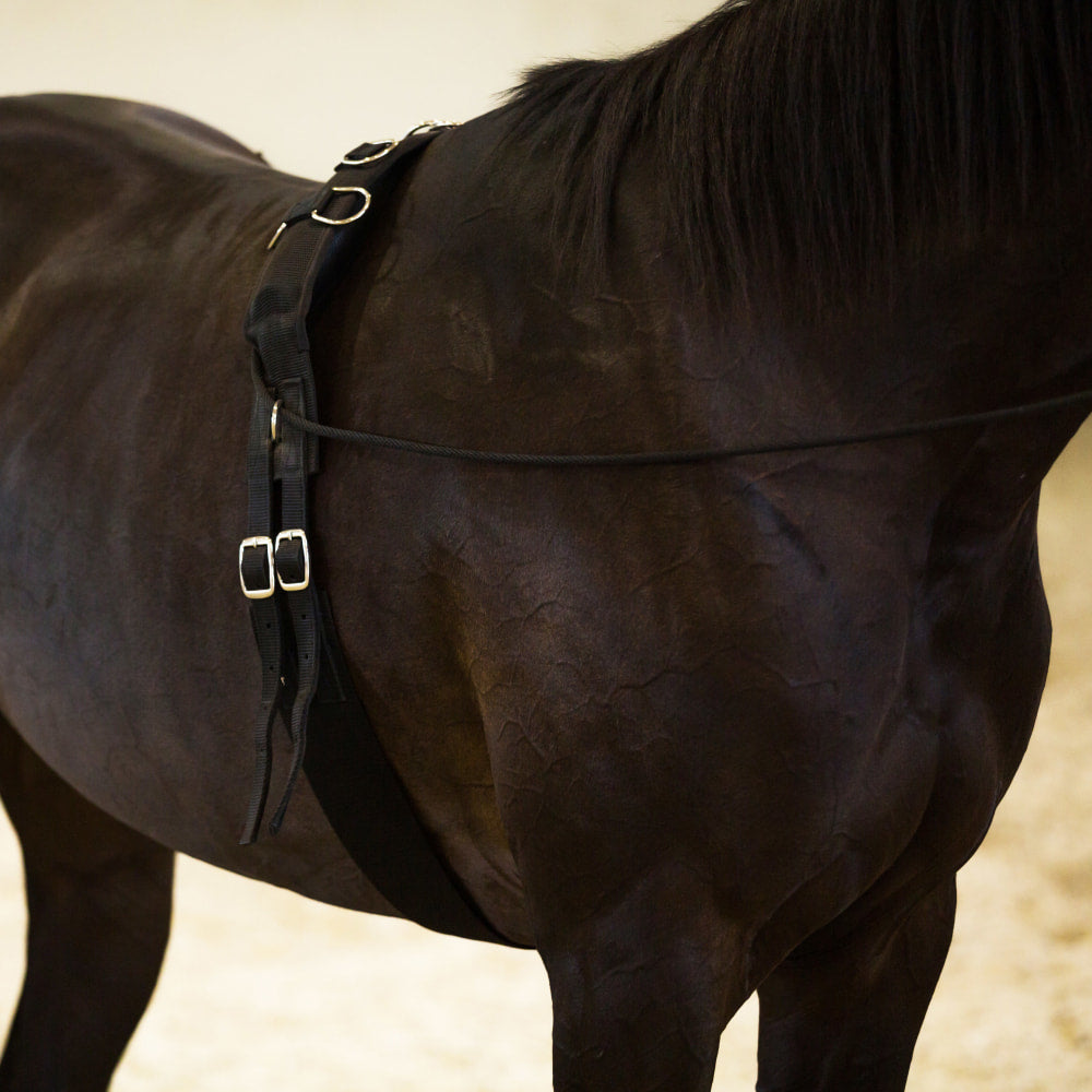 Horze Lunging Surcingle Nylon image 