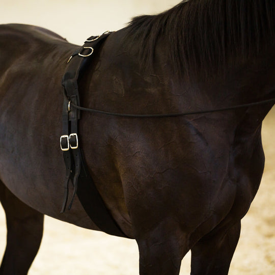 Horze Lunging Surcingle Nylon image 