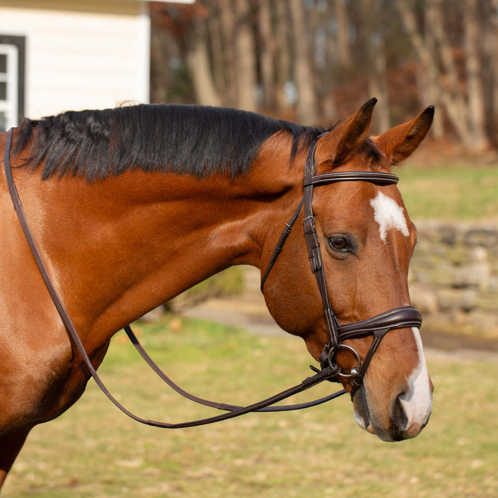 Equinavia Valkyrie Alternative Flash Bridle with Rubber Reins image #2