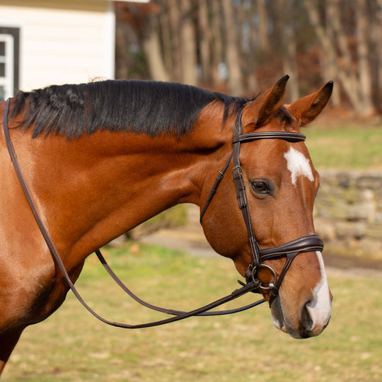 Equinavia Valkyrie Alternative Flash Bridle with Rubber Reins image 