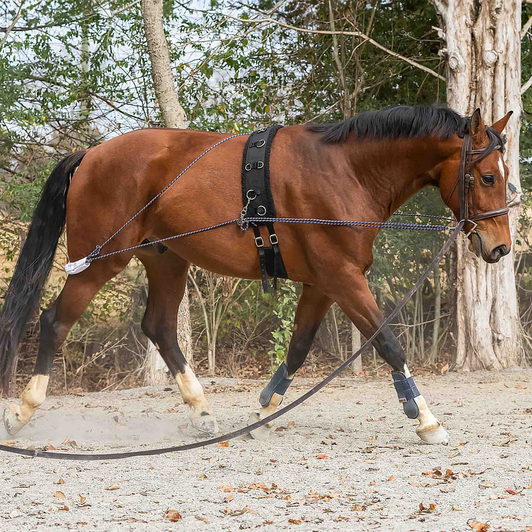 Horze Lunging Aid image 