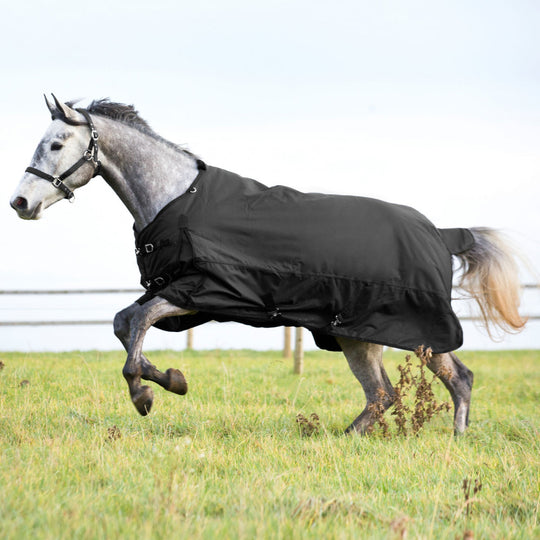 Horze Nevada Mid Weight Turnout Blanket 200g image 