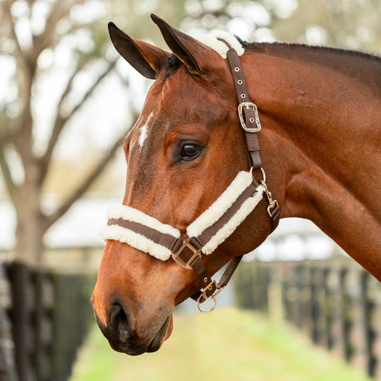 Equinavia Valkyrie Ultra Fleece Breakaway Halter image 