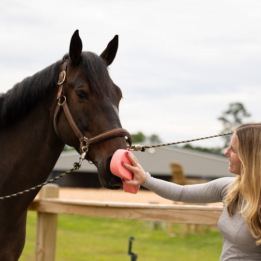 Horze Large Grooming Sponge image 