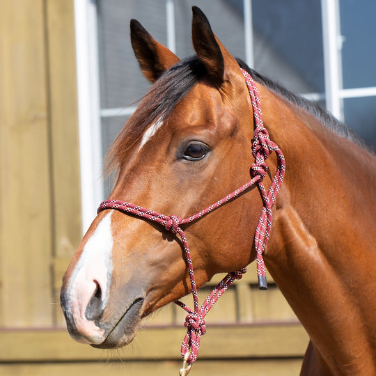 Equinavia Rope Halter image 